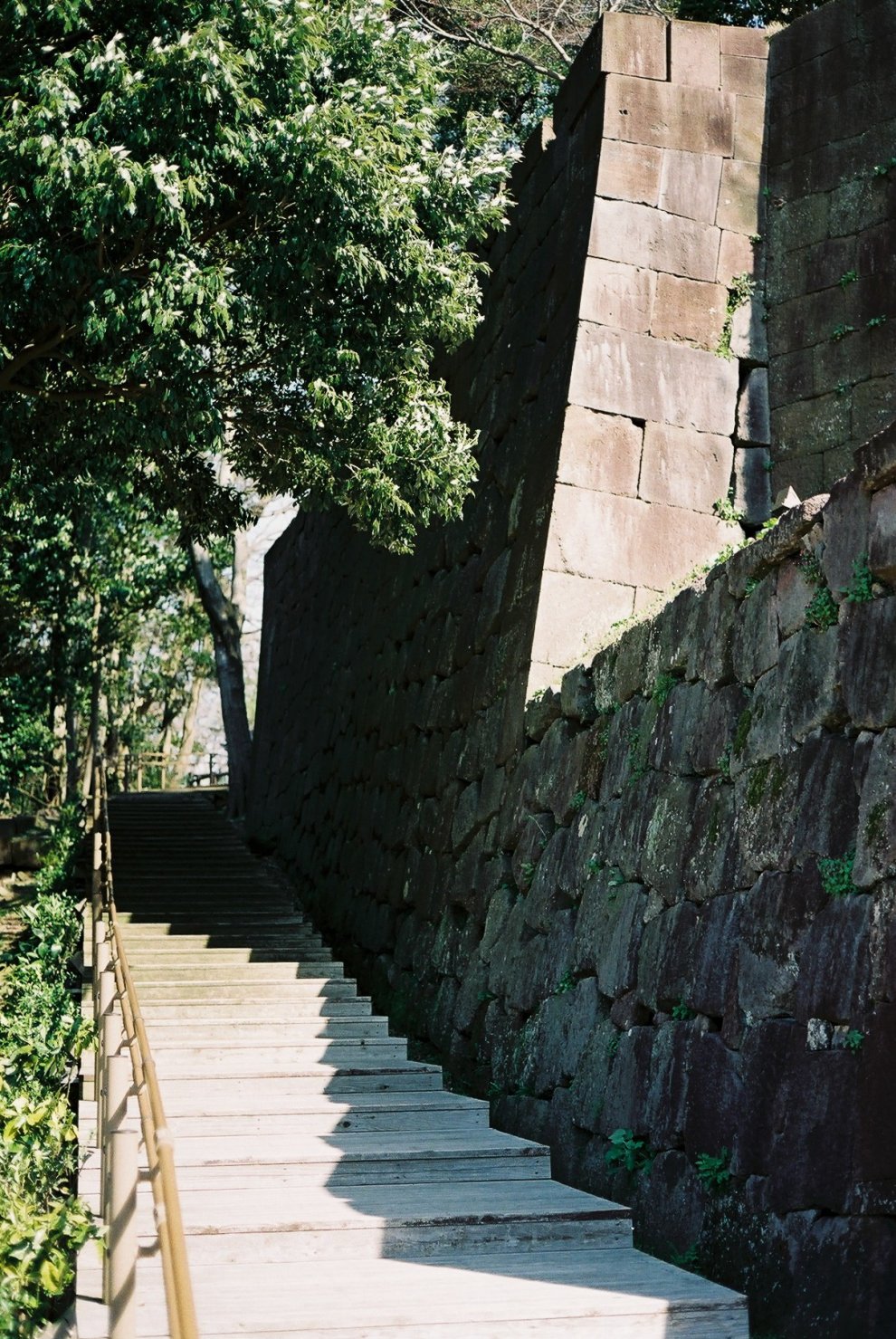Carl Zeiss Planar T* 45mm F2 (G) 金沢城とその周辺で撮ったスナップ写真
