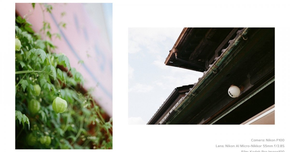 k*様 動作確認済み　Nikon F100 作例あり mode3_w1200_h630-