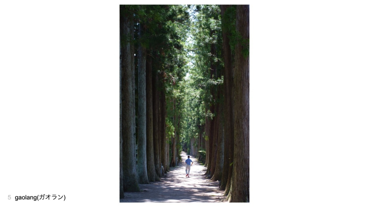 gaolang(ガオラン)さんの投稿作品