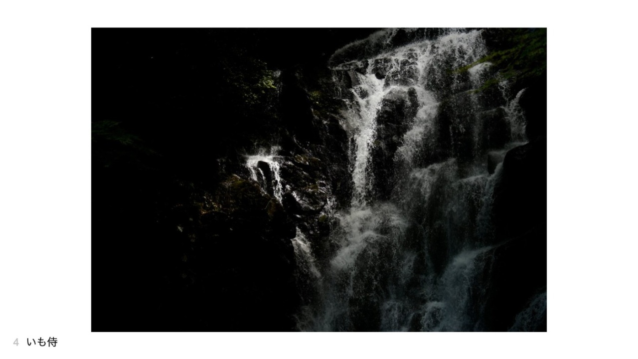 いも侍さんの投稿作品