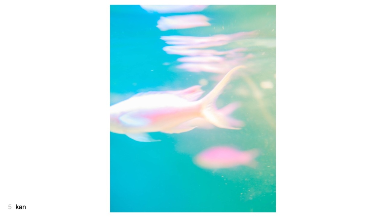 kanさんの投稿作品