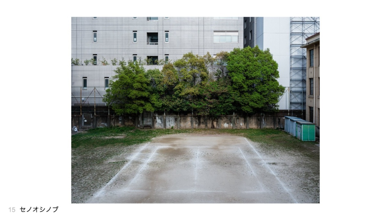 セノオシノブさんの投稿作品