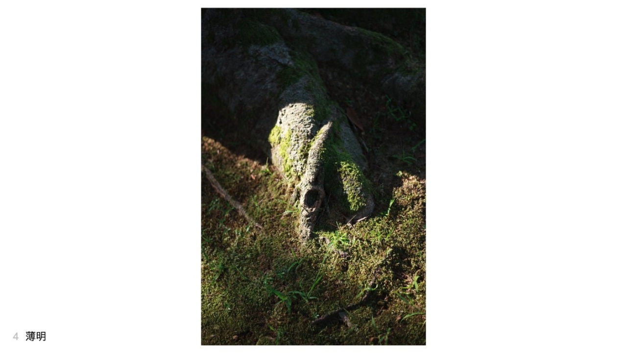 薄明さんの投稿作品