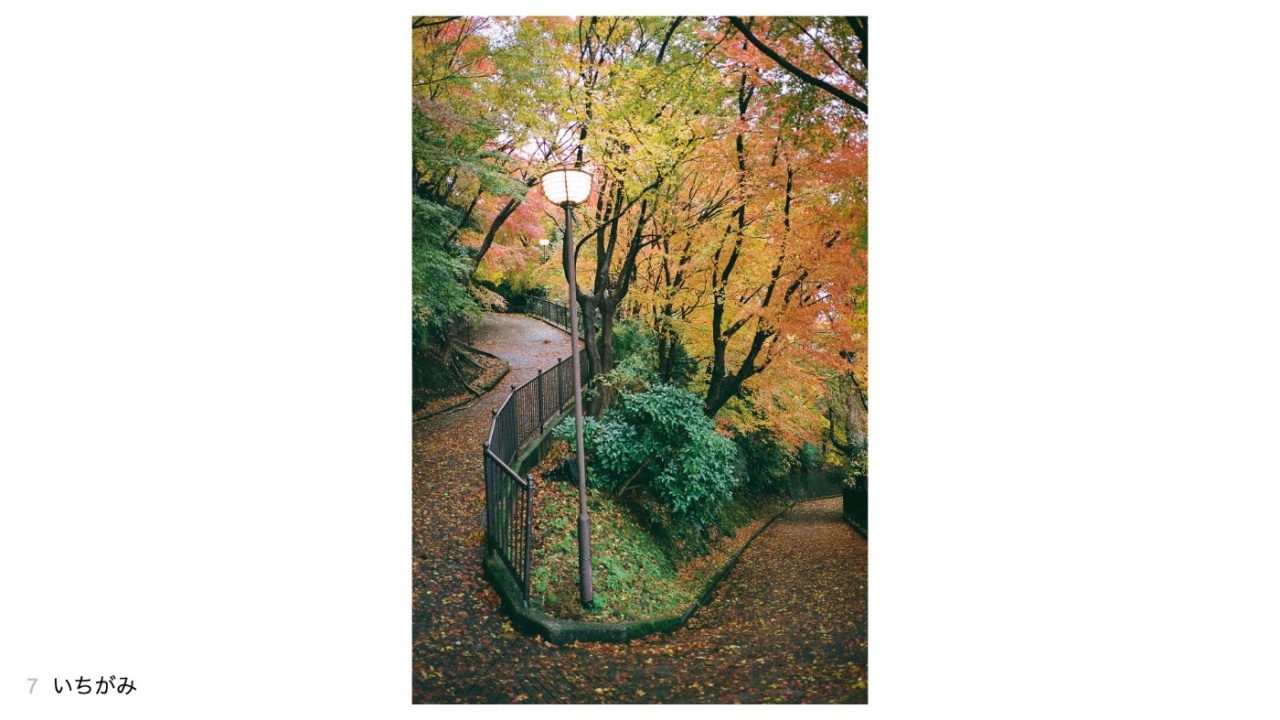 いちがみさんの投稿作品