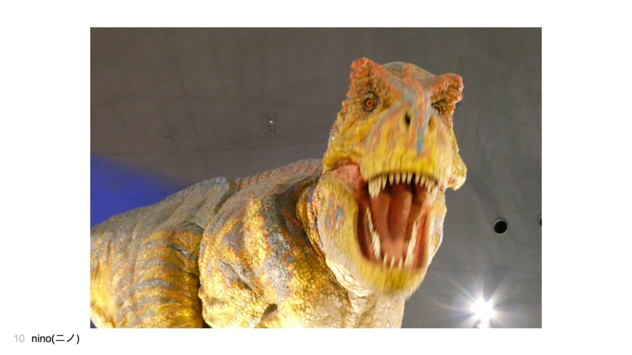 nino(ニノ)さんの投稿作品