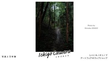 Ep162 アートフェアのウェブショップ（セノオシノブ）