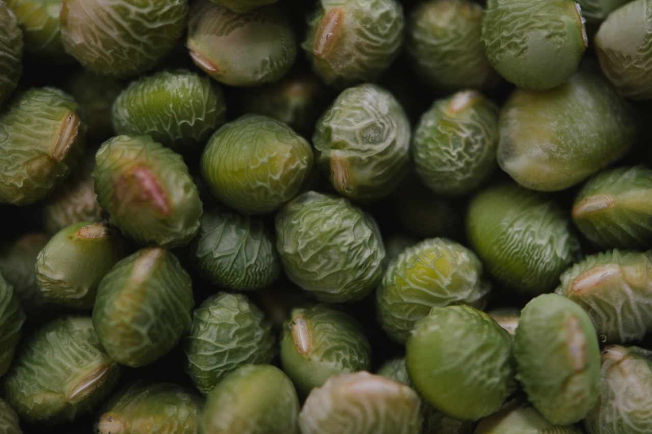 薄明さんの投稿作品