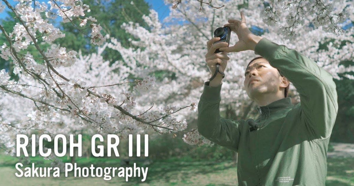 RICOH GR III (GR3) - Sakura Photography | Camera/Lens Review