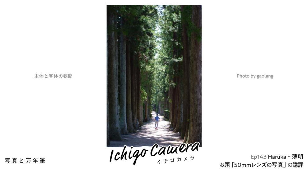 Ep143 お題「50mmレンズの写真」の講評