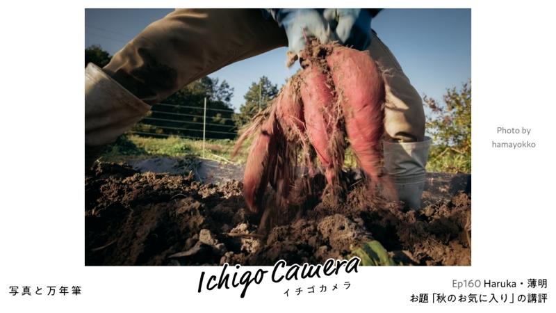 Ep160 お題「秋のお気に入り」の講評（Haruka・薄明）