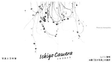 Ep172 お題「豆の写真」の講評（薄明）