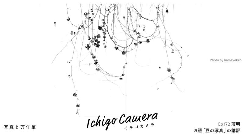 Ep172 お題「豆の写真」の講評（薄明）